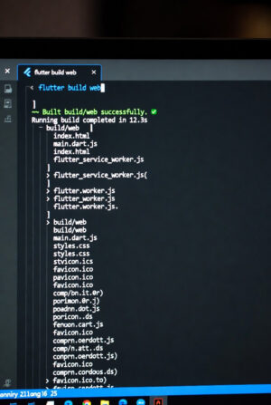flutter build web 명령어 Flutter 웹앱 변환 실제 화면